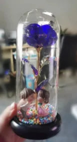 Rose Dome Glass